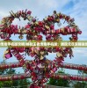 (王者传奇手机版攻略)体验王者传奇手机版，展现无尽荣耀战场对决