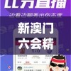 新澳门六会精准免费开奖,独家资源分享助你成长_工具包.4.882