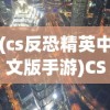 (cs反恐精英中文版手游)CS反恐精英中文版，游戏解析与常见问题解答