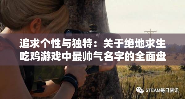 追求个性与独特：关于绝地求生吃鸡游戏中最帅气名字的全面盘点与解析
