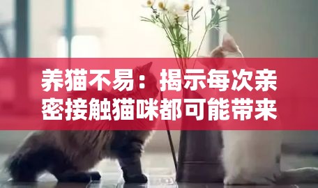 养猫不易：揭示每次亲密接触猫咪都可能带来致命风险的不为人知的真相