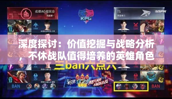 深度探讨：价值挖掘与战略分析，不休战队值得培养的英雄角色解析
