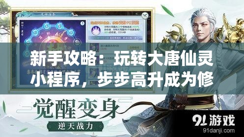 新手攻略：玩转大唐仙灵小程序，步步高升成为修仙高手的全面指南