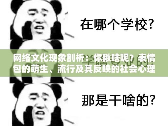 2024澳门天天开好彩大全2024,精细分析解释落实_电影版.5.264
