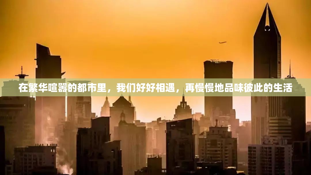 澳门新动向！今晚开奖结果曝光，开奖管家婆为您解密最新玩法！