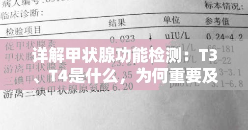 详解甲状腺功能检测：T3、T4是什么，为何重要及如何正确进行检查