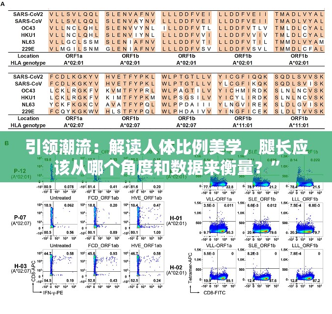(城主天下武将强度排行榜)城主天下武将，策略游戏中的英雄与领袖