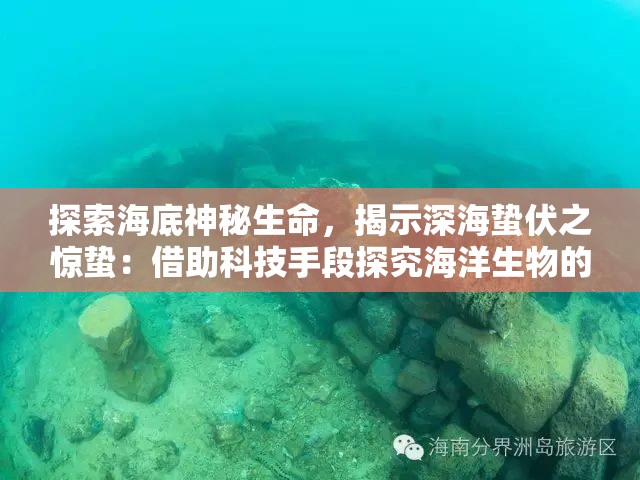 (城主天下武将强度排行榜)城主天下武将，策略游戏中的英雄与领袖