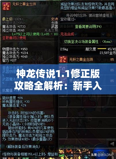 神龙传说1.1修正版攻略全解析：新手入门、战斗策略与隐藏要点一网打尽