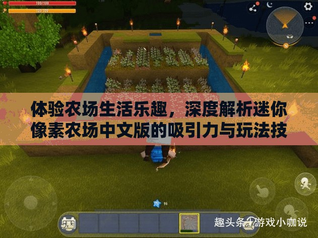 体验农场生活乐趣，深度解析迷你像素农场中文版的吸引力与玩法技巧