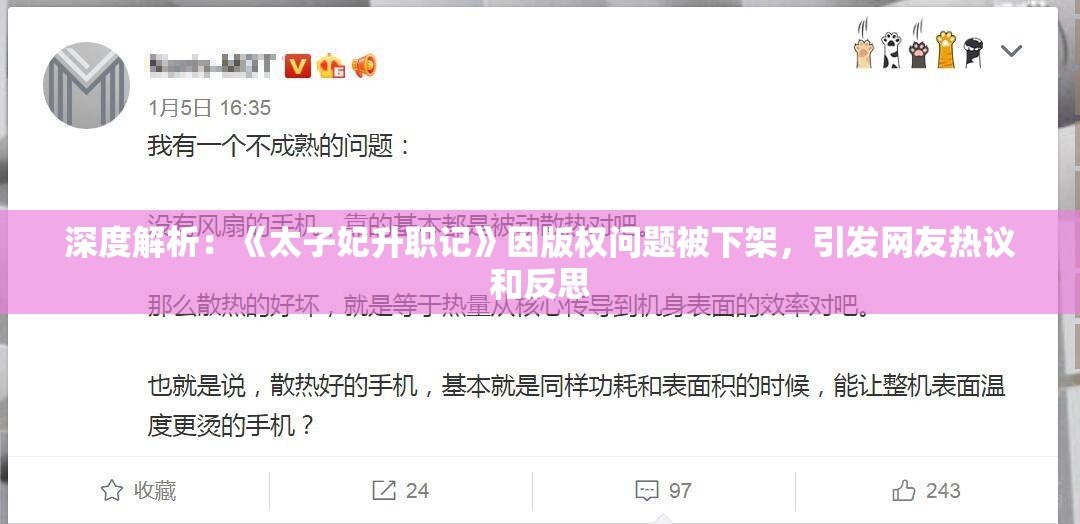 深度解析：《太子妃升职记》因版权问题被下架，引发网友热议和反思