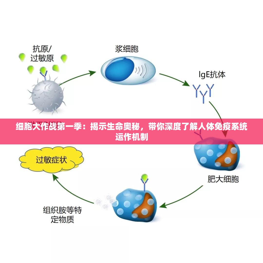 (恶魔学院手游)恶魔学院游戏全面攻略及常见问答解析