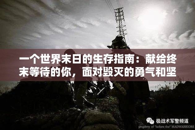一个世界末日的生存指南：献给终末等待的你，面对毁灭的勇气和坚韧