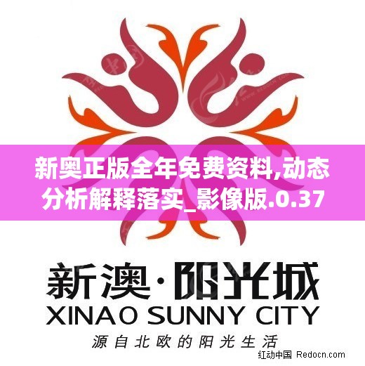 新奥正版全年免费资料,动态分析解释落实_影像版.0.370