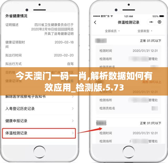 今天澳门一码一肖,解析数据如何有效应用_检测版.5.73