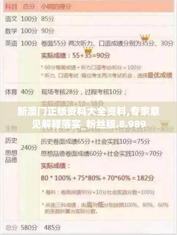 新澳门正版资料大全资料,专家意见解释落实_粉丝版.8.989
