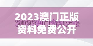 2023澳门正版资料免费公开,清新生活小技巧大公开_研发版.8.687