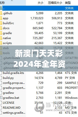 新澳门天天彩2024年全年资料,系统分析解释落实_精装款.1.317