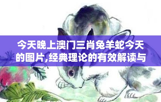 今天晚上澳门三肖兔羊蛇今天的图片,经典理论的有效解读与应用_复刻制.6.60