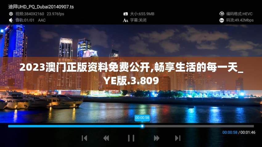 2023澳门正版资料免费公开,畅享生活的每一天_YE版.3.809
