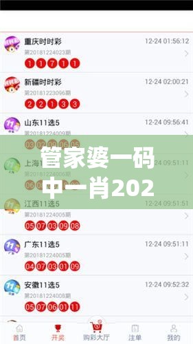 管家婆一码中一肖2024,权威数据解释落实_C版.6.695