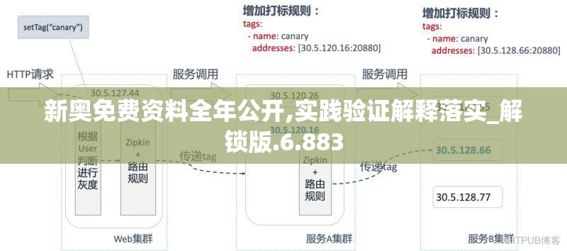 新奥免费资料全年公开,实践验证解释落实_解锁版.6.883