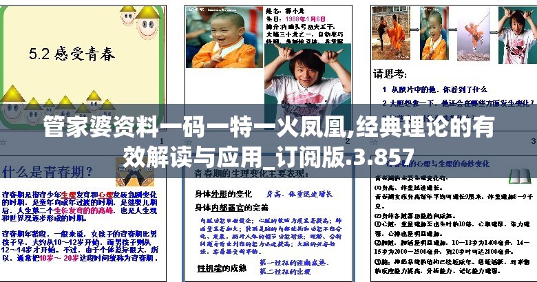 管家婆资料一码一特一火凤凰,经典理论的有效解读与应用_订阅版.3.857