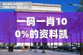 一码一肖100%的资料凯旋门图片,权威数据解释落实_终极版.9.277