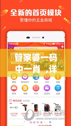 管家婆一码中一肖  ,详细解读解释落实_统筹版.9.304