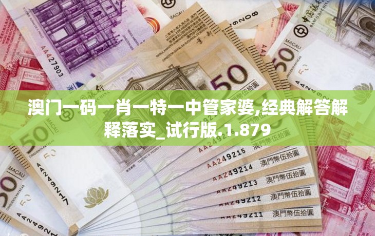 澳门一码一肖一特一中管家婆,经典解答解释落实_试行版.1.879