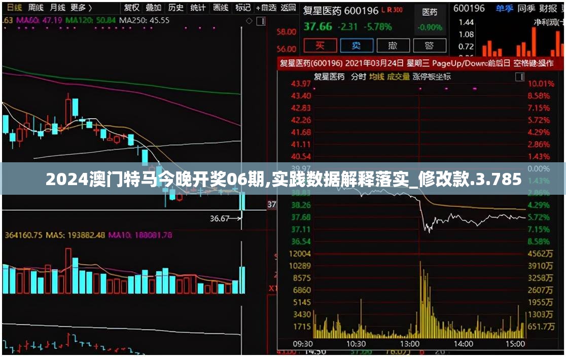 2024澳门特马今晚开奖06期,实践数据解释落实_修改款.3.785
