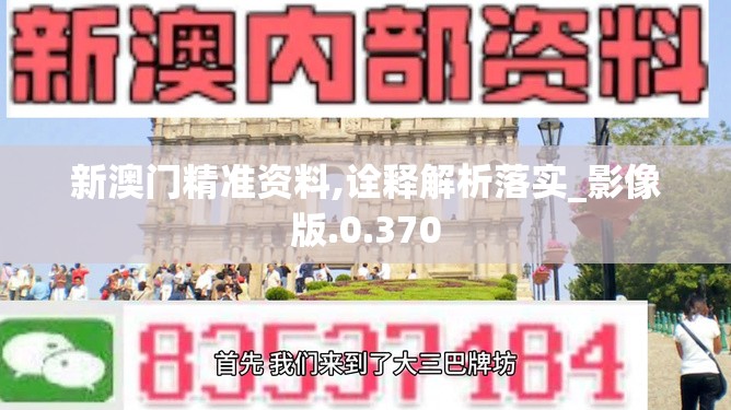新澳门精准资料,诠释解析落实_影像版.0.370