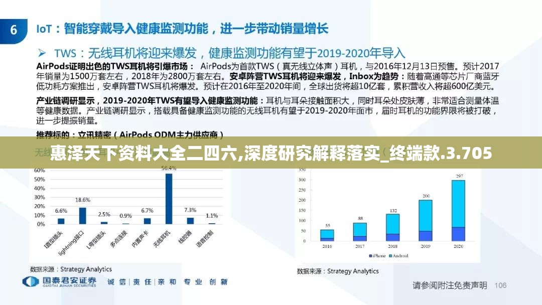 惠泽天下资料大全二四六,深度研究解释落实_终端款.3.705