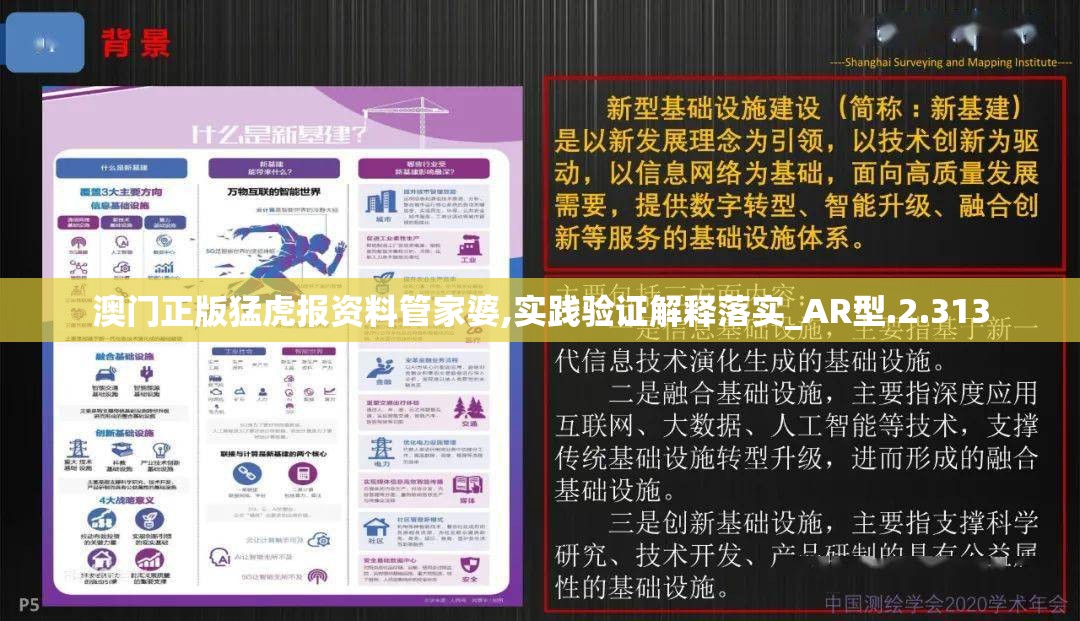澳门正版猛虎报资料管家婆,实践验证解释落实_AR型.2.313