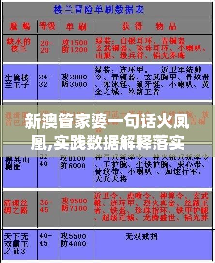 新澳管家婆一句话火凤凰,实践数据解释落实_探险版GM.1.802
