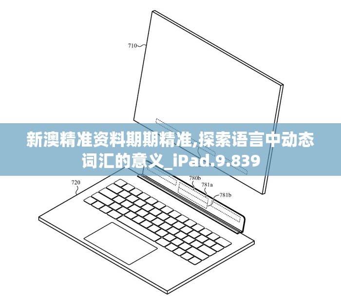 新澳精准资料期期精准,探索语言中动态词汇的意义_iPad.9.839