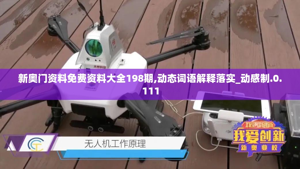 新奥门资料免费资料大全198期,动态词语解释落实_动感制.0.111