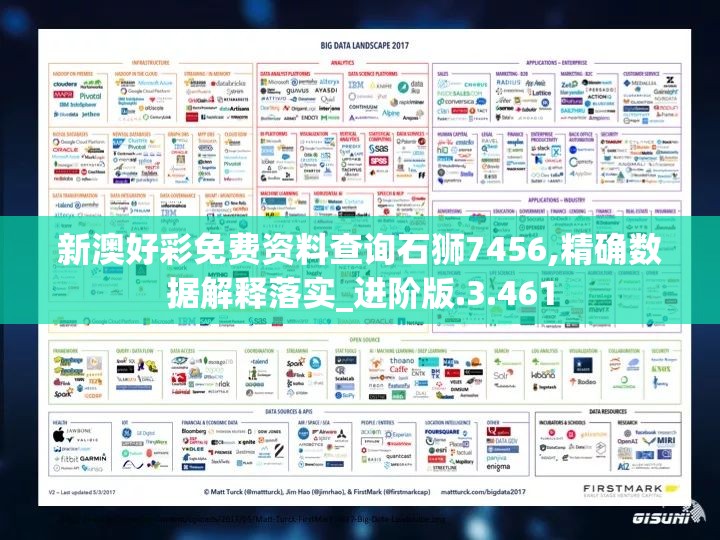 新澳好彩免费资料查询石狮7456,精确数据解释落实_进阶版.3.461