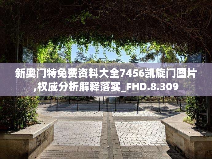 新奥门特免费资料大全7456凯旋门图片,权威分析解释落实_FHD.8.309