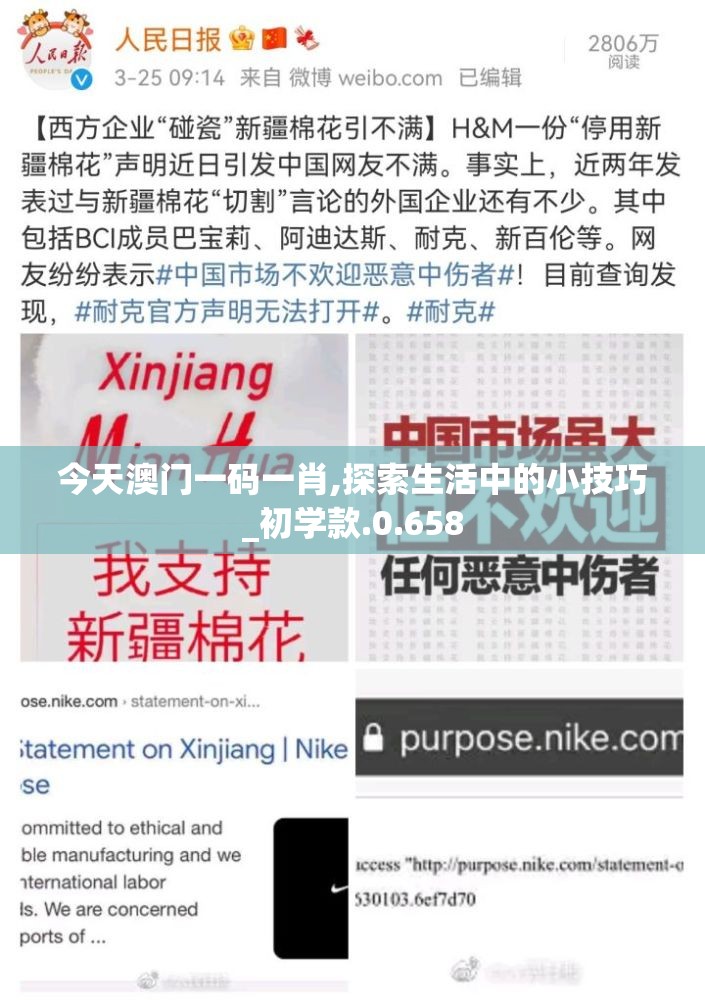今天澳门一码一肖,探索生活中的小技巧_初学款.0.658