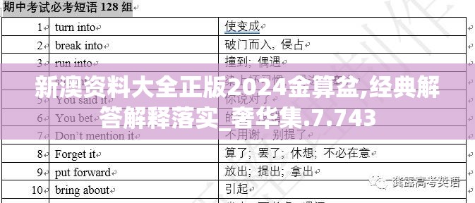 新澳资料大全正版2024金算盆,经典解答解释落实_奢华集.7.743