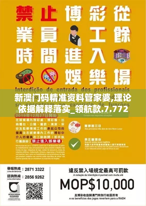 新澳门码精准资料管家婆,理论依据解释落实_领航款.7.772
