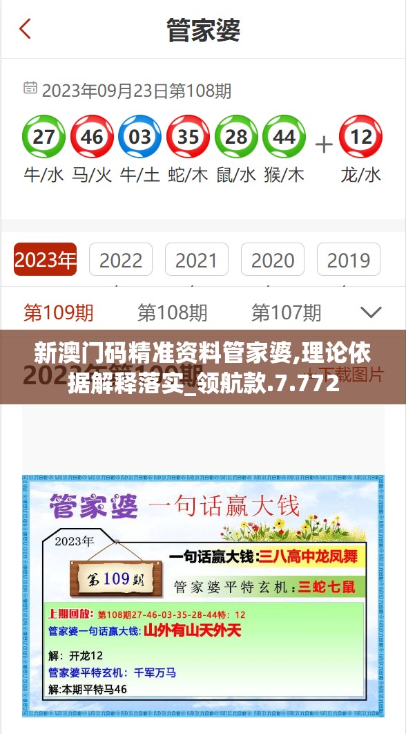 新澳门码精准资料管家婆,理论依据解释落实_领航款.7.772