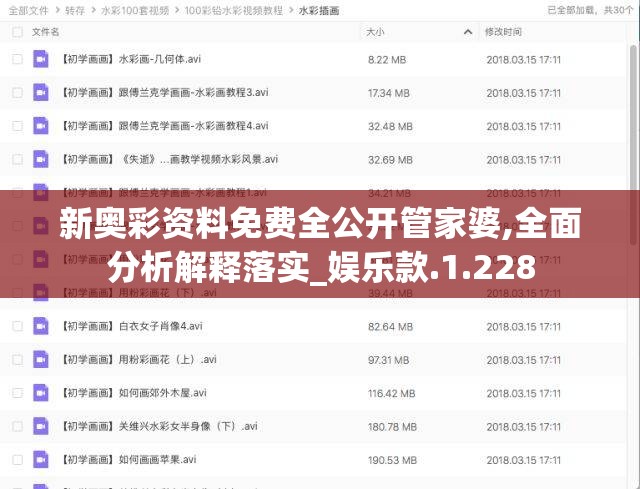 新奥彩资料免费全公开管家婆,全面分析解释落实_娱乐款.1.228