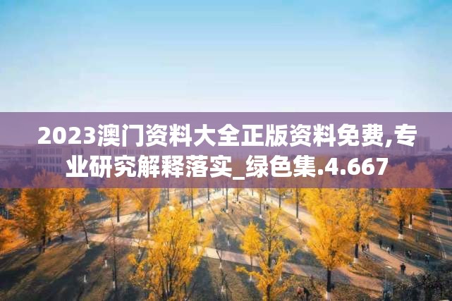2023澳门资料大全正版资料免费,专业研究解释落实_绿色集.4.667