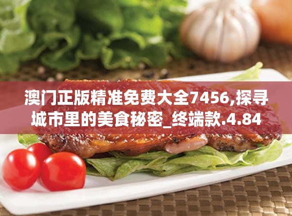 澳门正版精准免费大全7456,探寻城市里的美食秘密_终端款.4.848