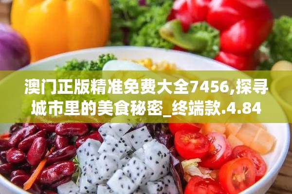 澳门正版精准免费大全7456,探寻城市里的美食秘密_终端款.4.848
