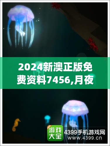 2024新澳正版免费资料7456,月夜下的星辰与梦想_FT.7.258