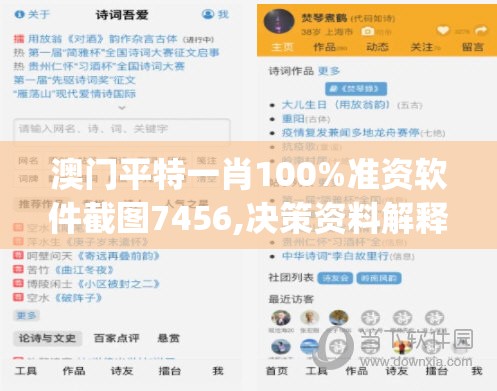 澳门平特一肖100%准资软件截图7456,决策资料解释落实_强力版.5.478
