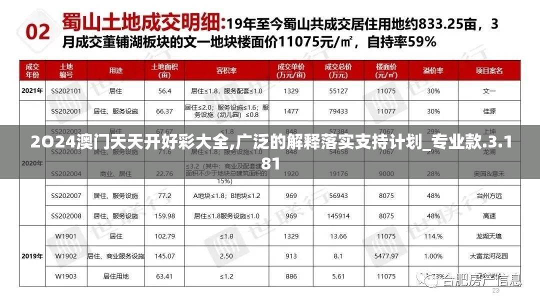 2O24澳门天天开好彩大全,广泛的解释落实支持计划_专业款.3.181